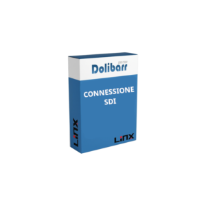 Modulo connessione canale Linx - Abbonamento annuale